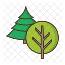 Arvores Deciduas Coniferas Ícone