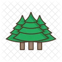 Arvores Coniferas Ícone