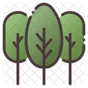 Arvores Arvore Floresta Icon