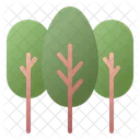 Arvores Arvore Floresta Icon