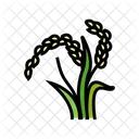 Aryza Plant Oryza Plant Icon