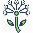 Asafoetida  Icon