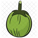 Ash Gourd Vegetable Healthy Vegetable Icon