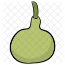 Ash Gourd  Icon