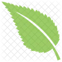 물푸레나무 잎  아이콘