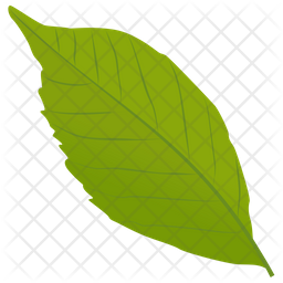 Ash Leaf Icon - Download In Flat Style