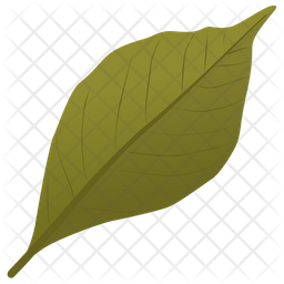 Ash Leaf Icon