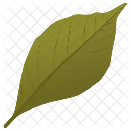 Ash Leaf  Icon