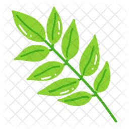 Ash leaf  Icon