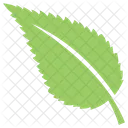 Ash Leaf  Icon