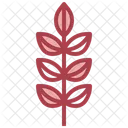 Ash Leaf Maple  Icon