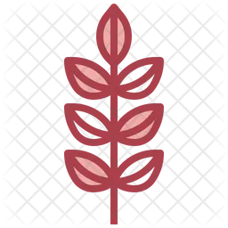 Ash Leaf Maple  Icon