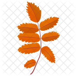 Ash Leaves Icon