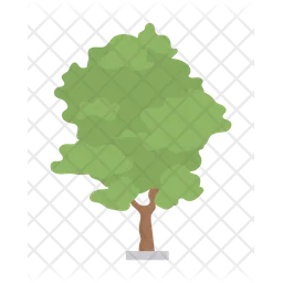 Ash tree  Icon