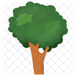 Ash Tree  Icon