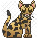 Ashera  Icon