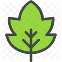 Ashleaf Maple Leaf Icon