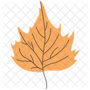Ashleaf Maple Icon