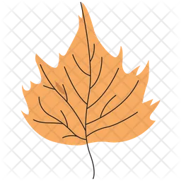 Ashleaf Maple  Icon