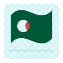 Asian Flag  Icon
