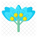Asiatic Dayflower  Icon