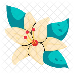 Asiatic Lily  Icon