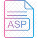 Asp File Format Icon