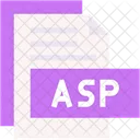 Asp Format Type Icon