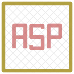 ASP Format  Icon