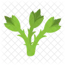 Asparagus Vegetable Green Icon