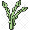Asparagus Vegetable Organic Icon
