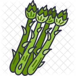 Asparagus  Icon