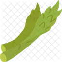 Asparagus  アイコン