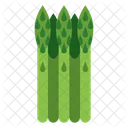 Asparagus Healthy Vegetable Icon