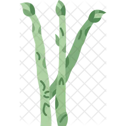 Asparagus  Icon