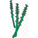 Asparagus Healthy Vegetable Icon