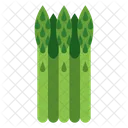 Asparagus  Icon