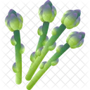 Asparagus Healthy Vegetable Icon