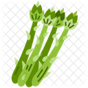Asparagus  Icon