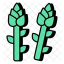 Asparagus  Icon