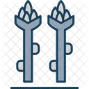 Asparagus  Icon