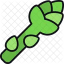 Asparagus  Icon