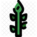 Asparagus  Icon