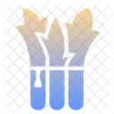 Asparagus  Icon