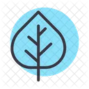 Aspen Nature Leaf Icon