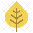 Aspen  Icon