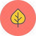 Aspen Nature Leaf Icon