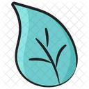 Aspen Leaf  Icon