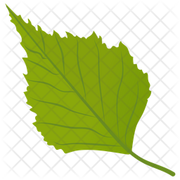 Aspen Leaf Icon