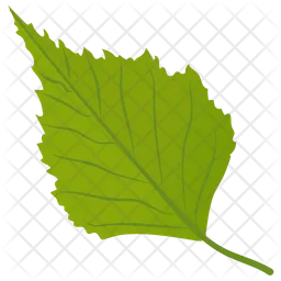 Aspen Leaf  Icon